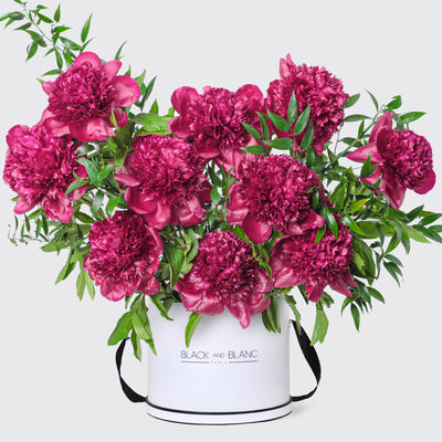 Royal Ruby peonies in Box - Le Grand / White