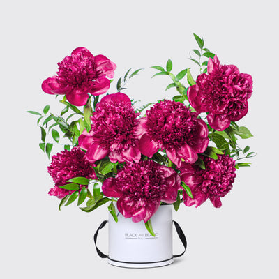 Royal Ruby peonies in Box - Le Medium / White