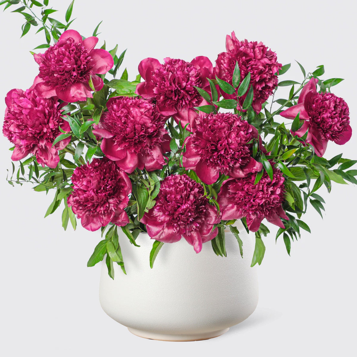 Royal Ruby peonies in Vase - BLACK AND BLANC