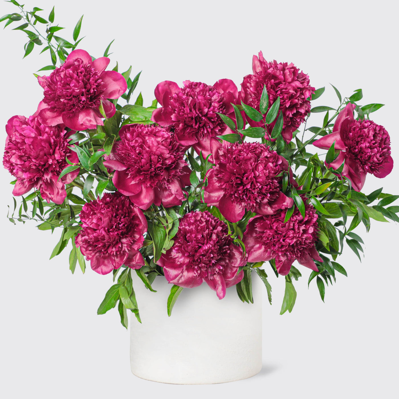 Royal Ruby peonies in Vase