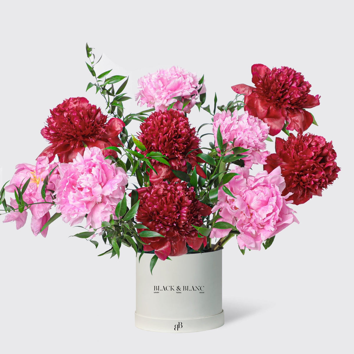 Ruby Blush Peonies in Box - BLACK AND BLANC