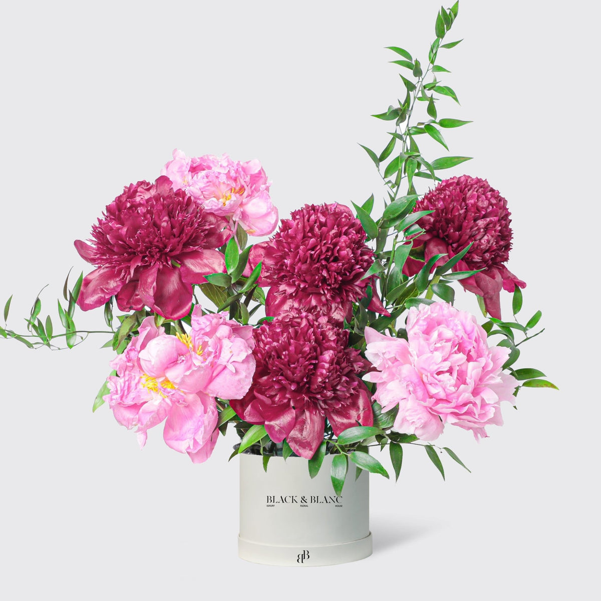 Ruby Blush Peonies in Box - BLACK AND BLANC