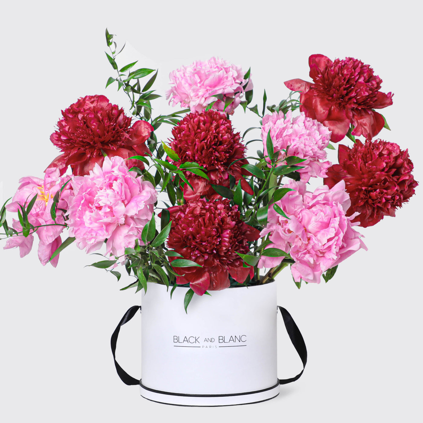 Ruby Blush Peonies in Box - Le Medium / White