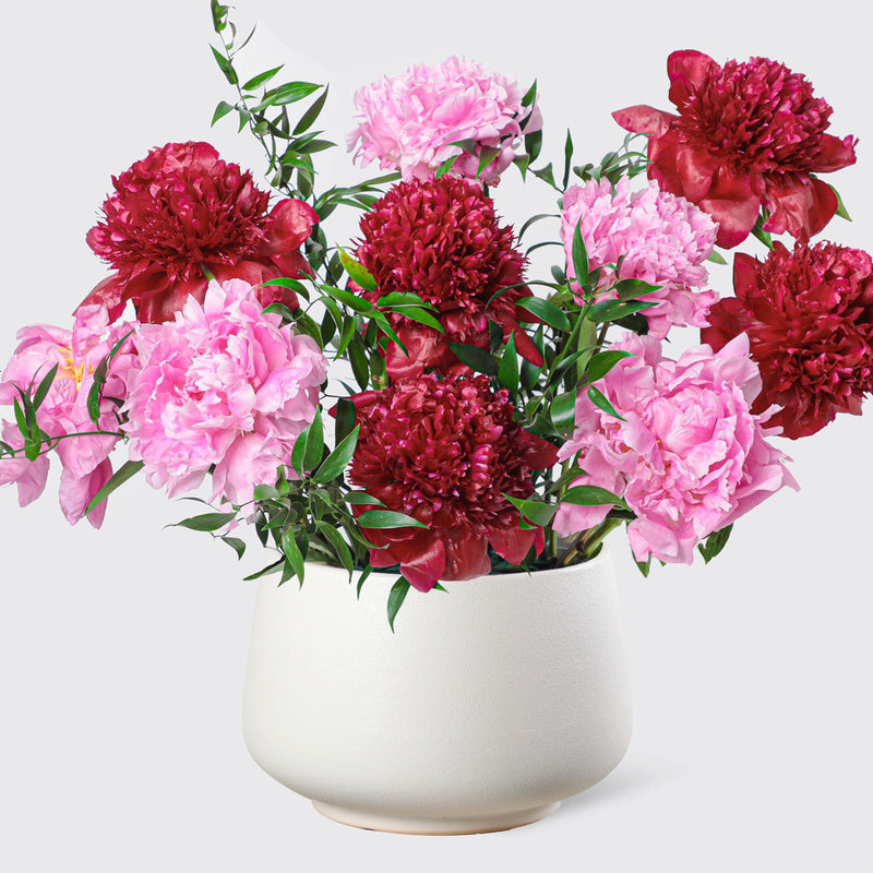 Ruby Blush Peonies in Vase - BLACK AND BLANC