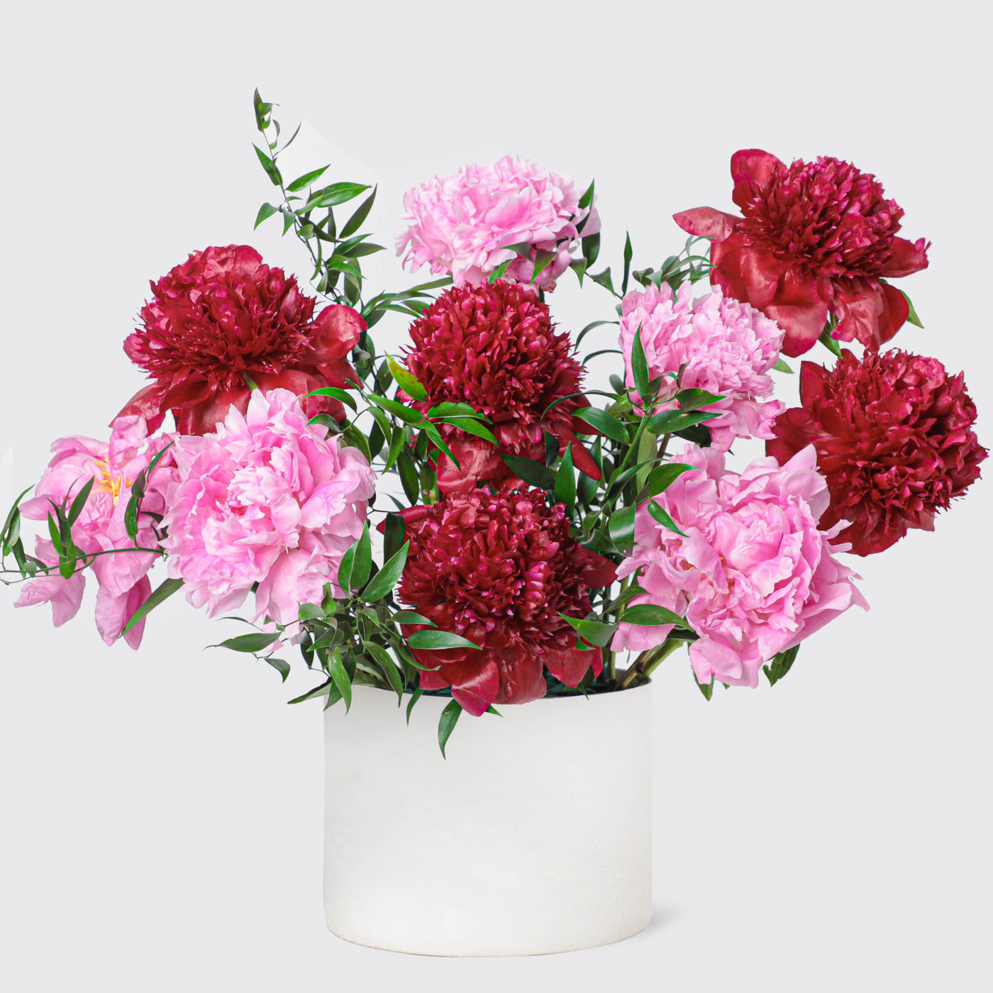 Ruby Blush Peonies in Vase