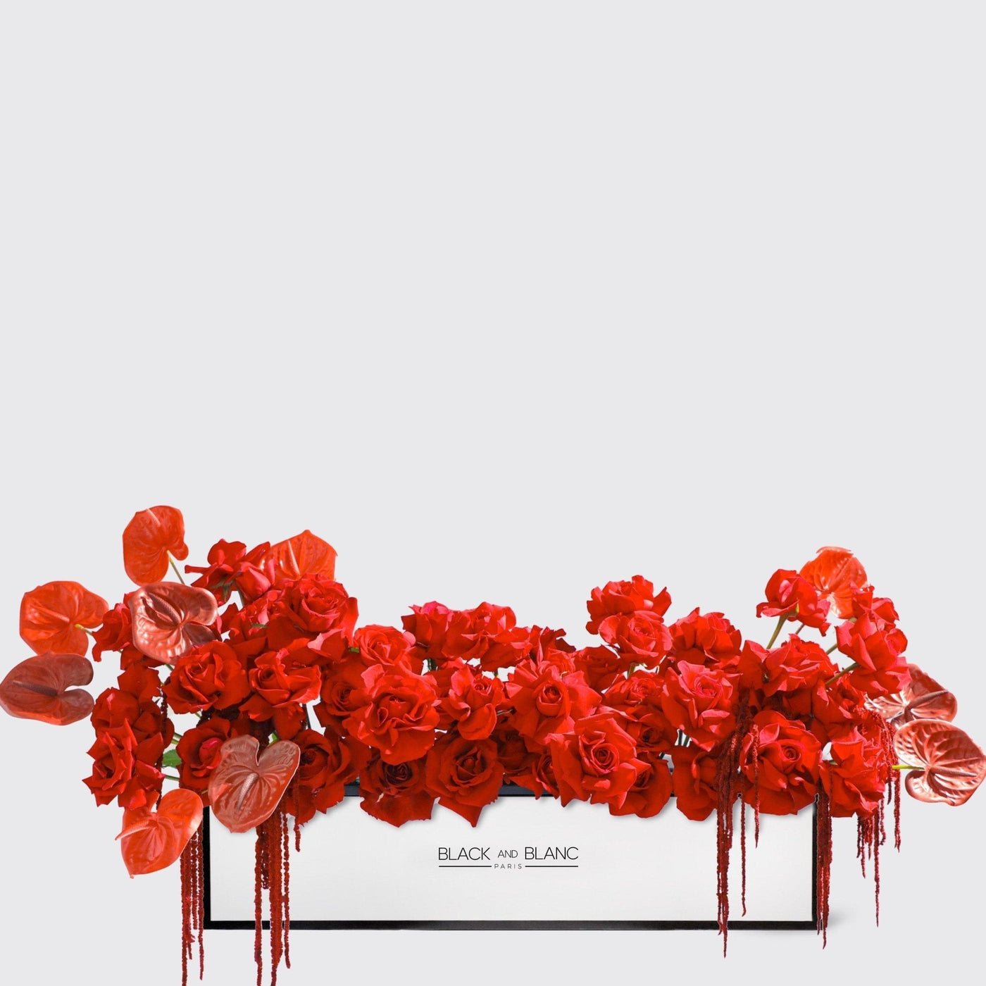 Scarlet Luxe in 1 Meter Box - BLACK AND BLANC