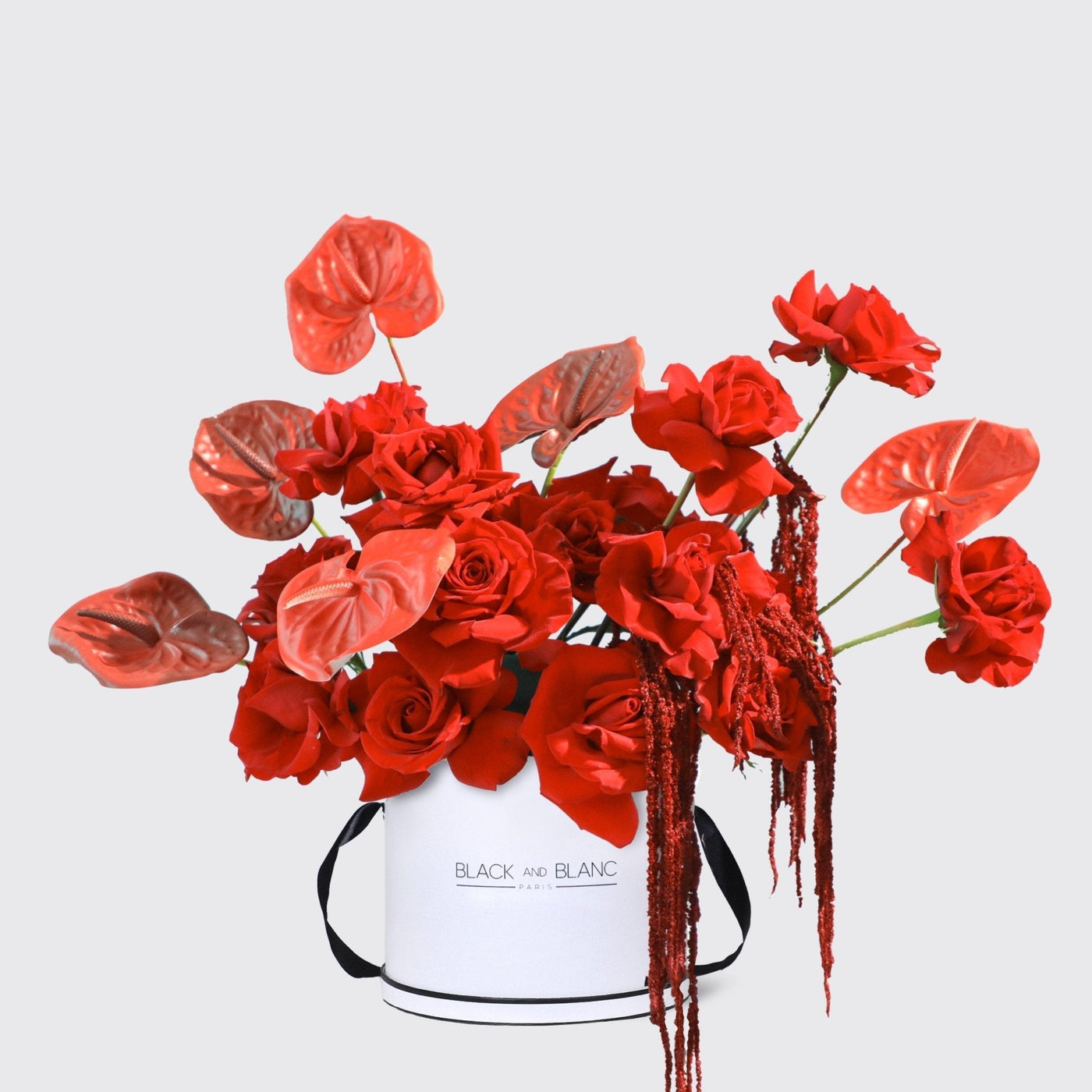 Scarlet Luxe in Box - BLACK AND BLANC