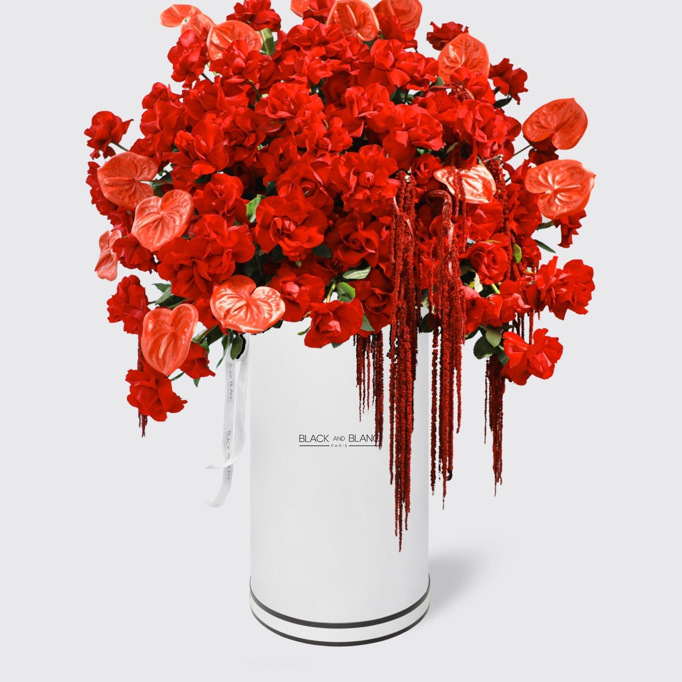 Scarlet Luxe in Pinnacle - BLACK AND BLANC