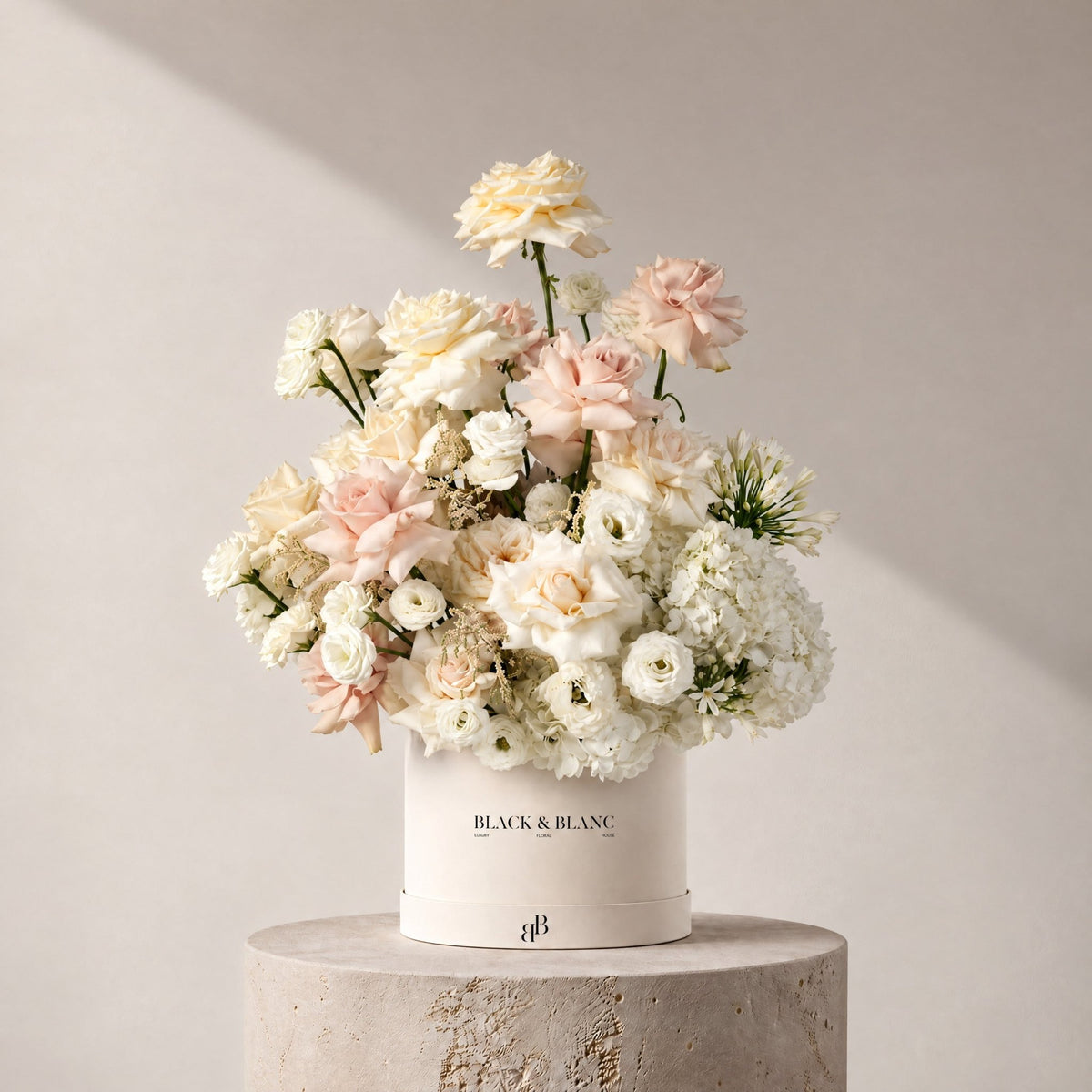 Serene in Box - BLACK & BLANC