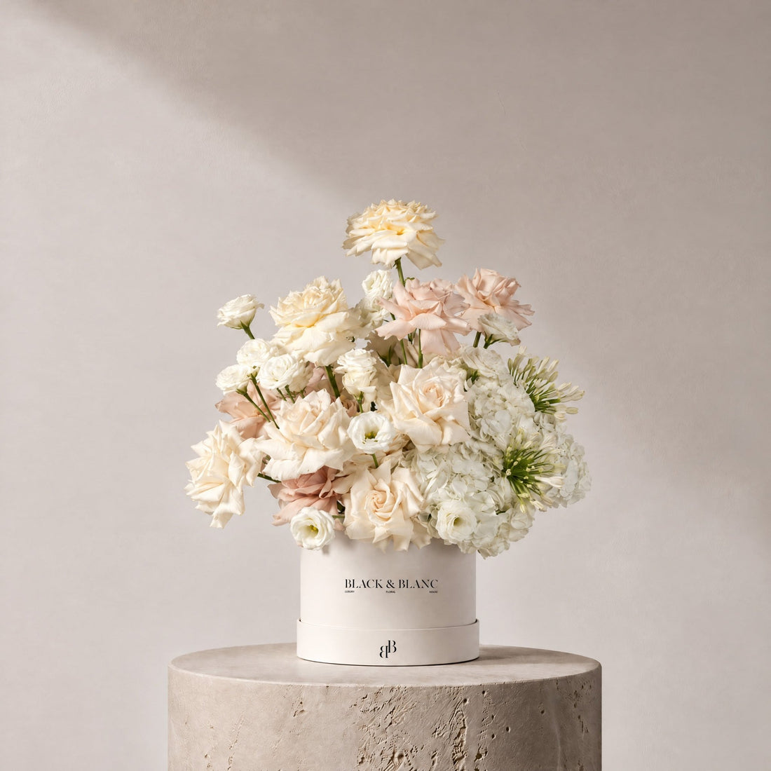 Serene in Box - BLACK & BLANC