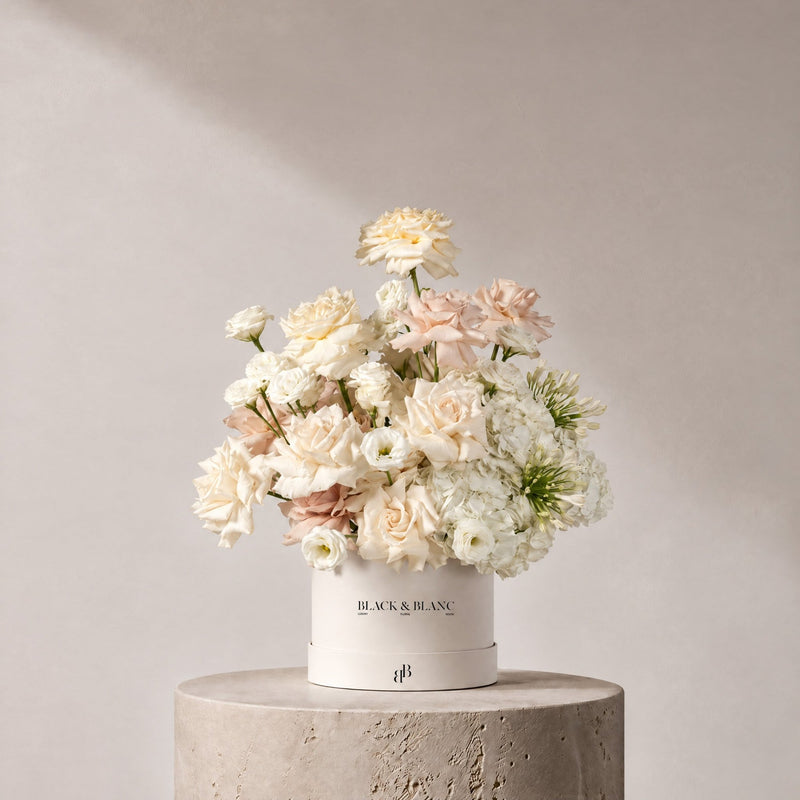 Serene in Box - BLACK & BLANC