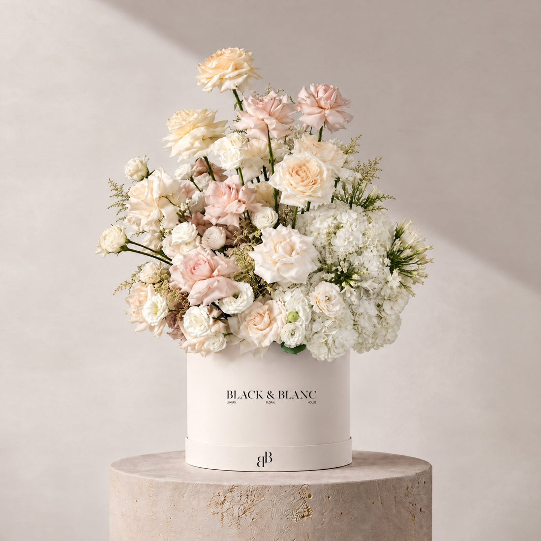 Serene in Box - BLACK & BLANC