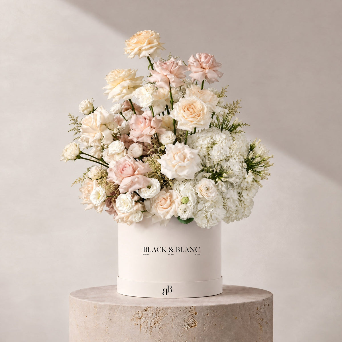 Serene in Box - BLACK & BLANC