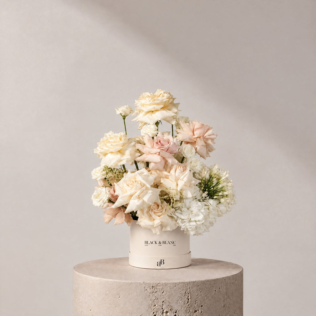 Serene in Box - BLACK & BLANC