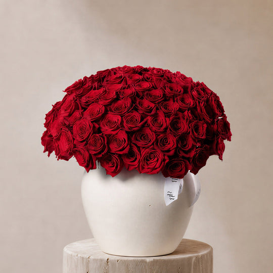 Sharara Red Roses in Ivory Vase - BLACK AND BLANC