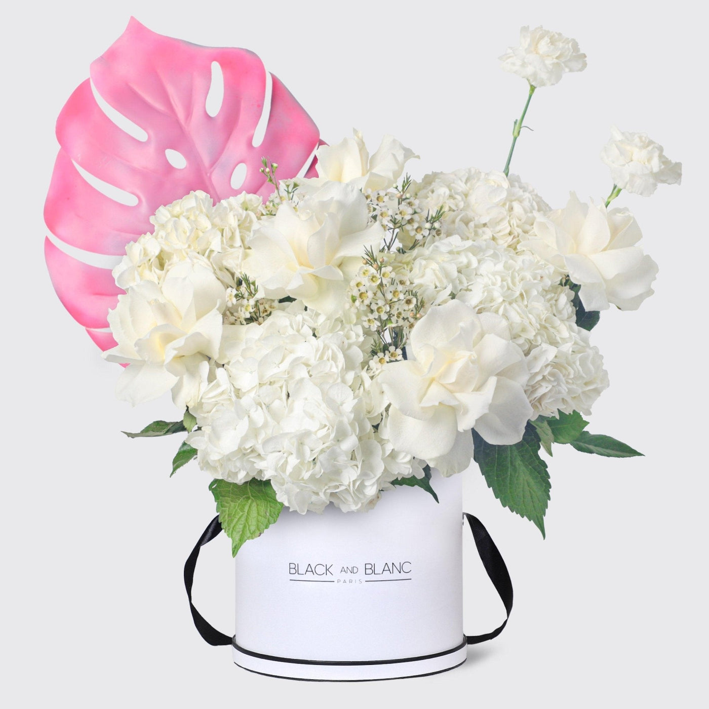 Silent Lullaby in Box - BLACK AND BLANC