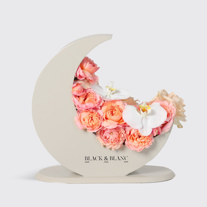 Soft Harmony in Moon - BLACK AND BLANC
