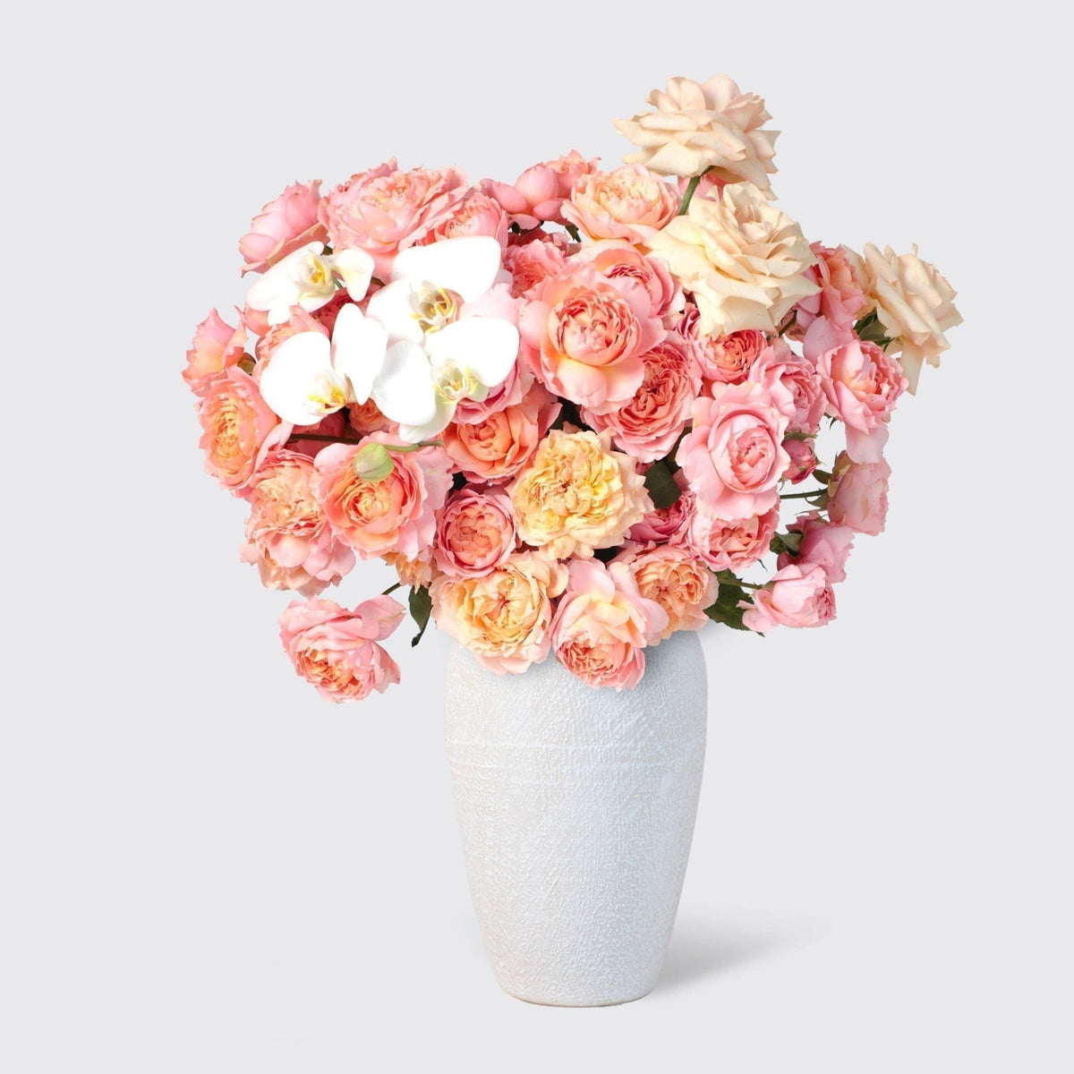 Soft Harmony in Vase - BLACK AND BLANC