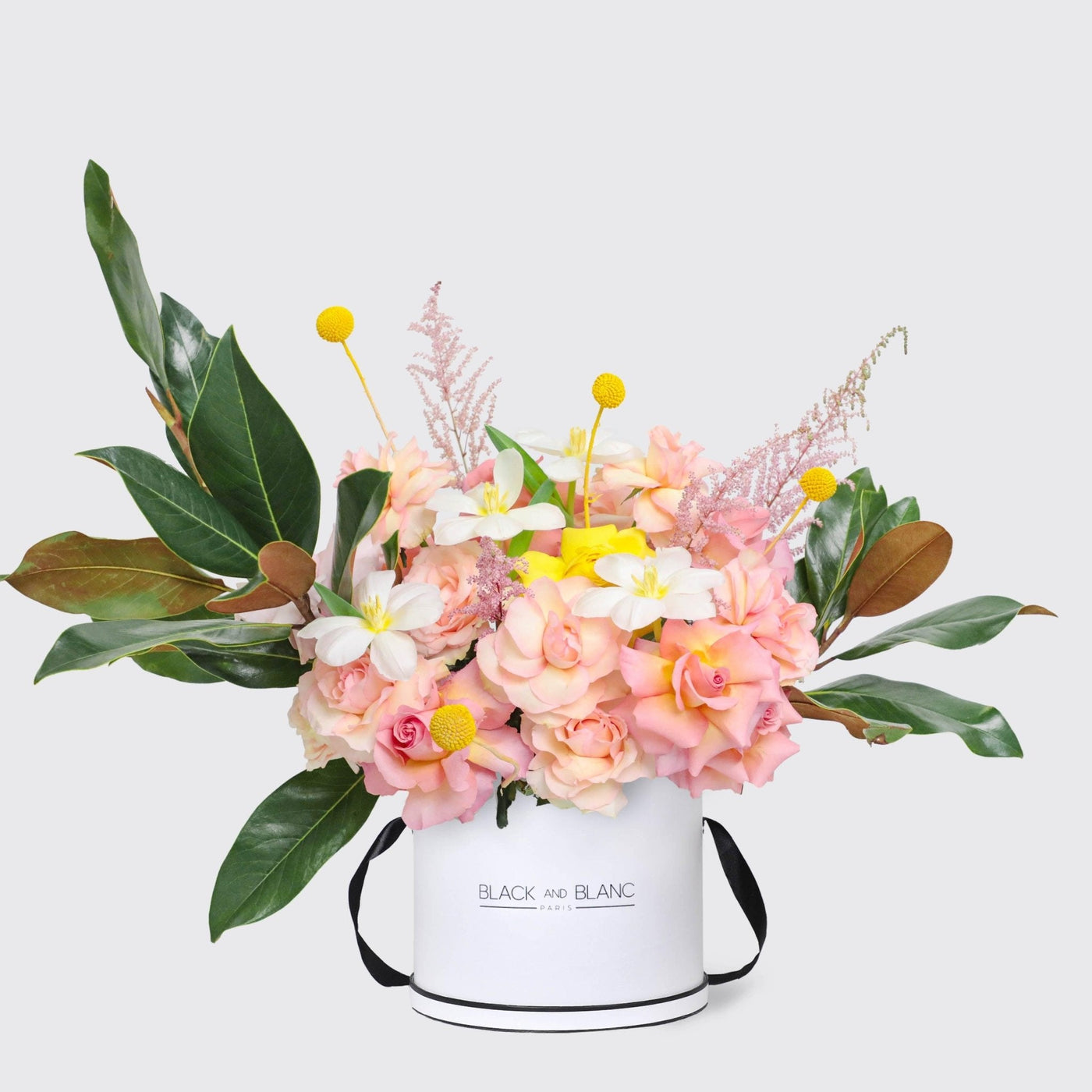 Soleil Bohème in Box - BLACK AND BLANC