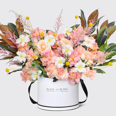 Soleil Bohème in Box - BLACK AND BLANC