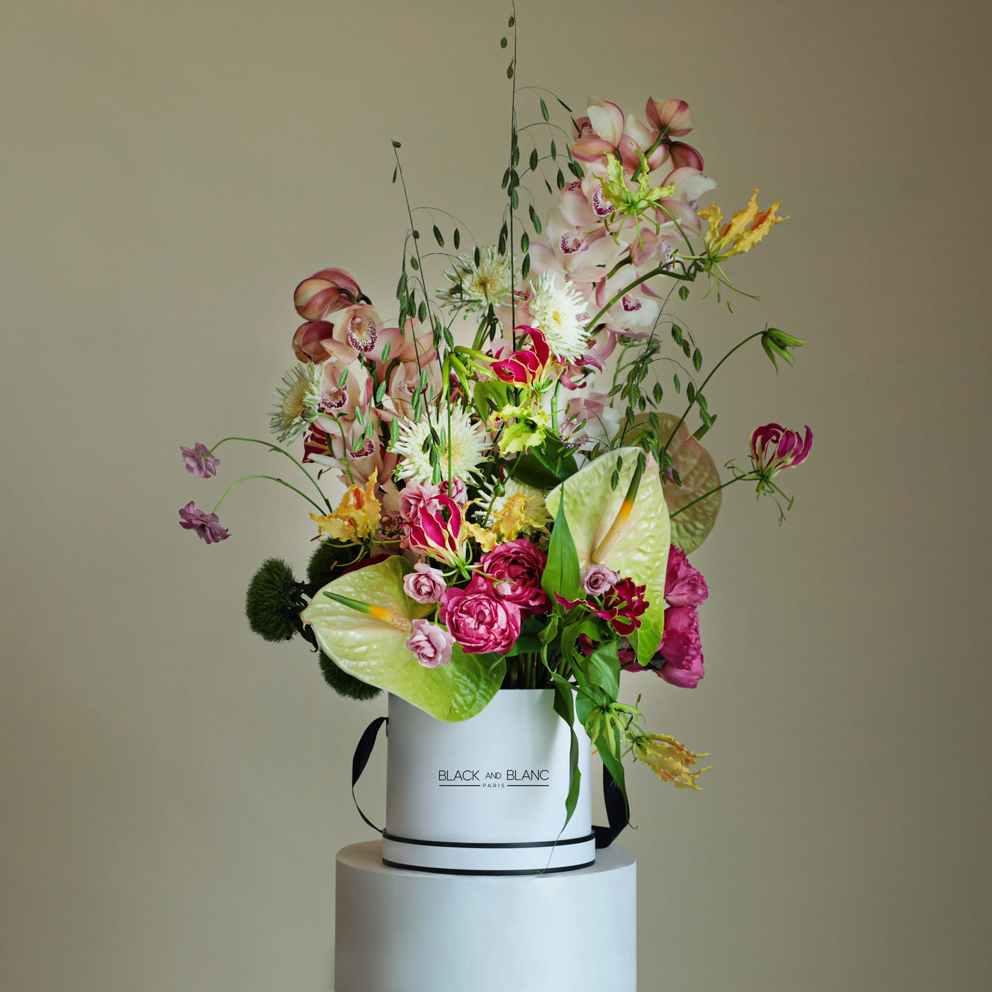Solstice Bloom