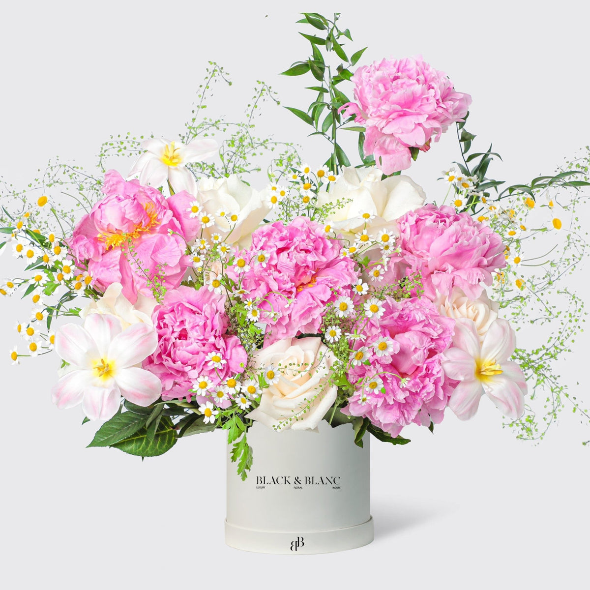 Spring Radiance Peonies in Box - BLACK AND BLANC