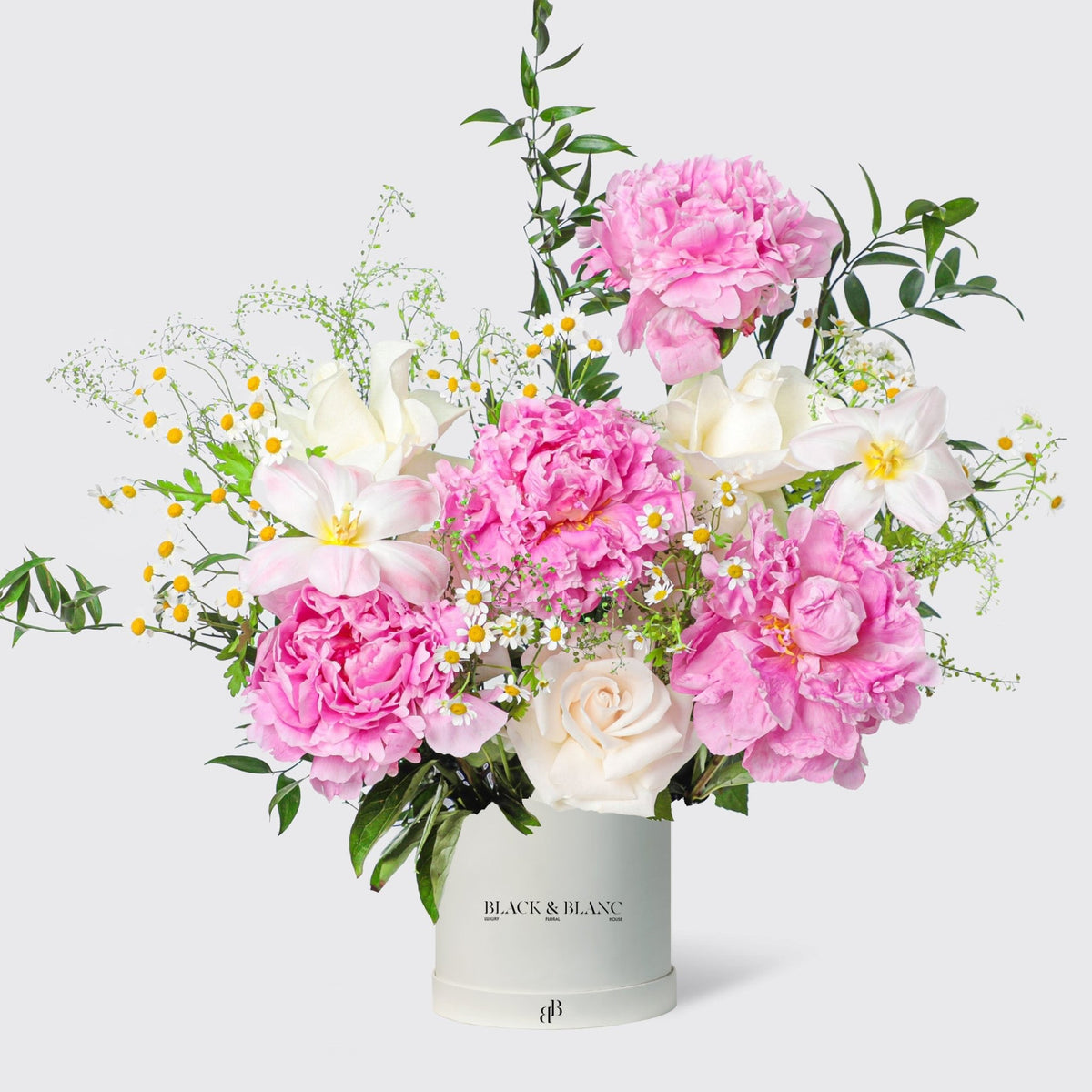 Spring Radiance Peonies in Box - BLACK AND BLANC