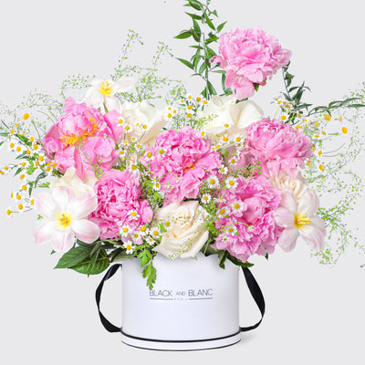 Spring Radiance Peonies in Box - Le Grand / White