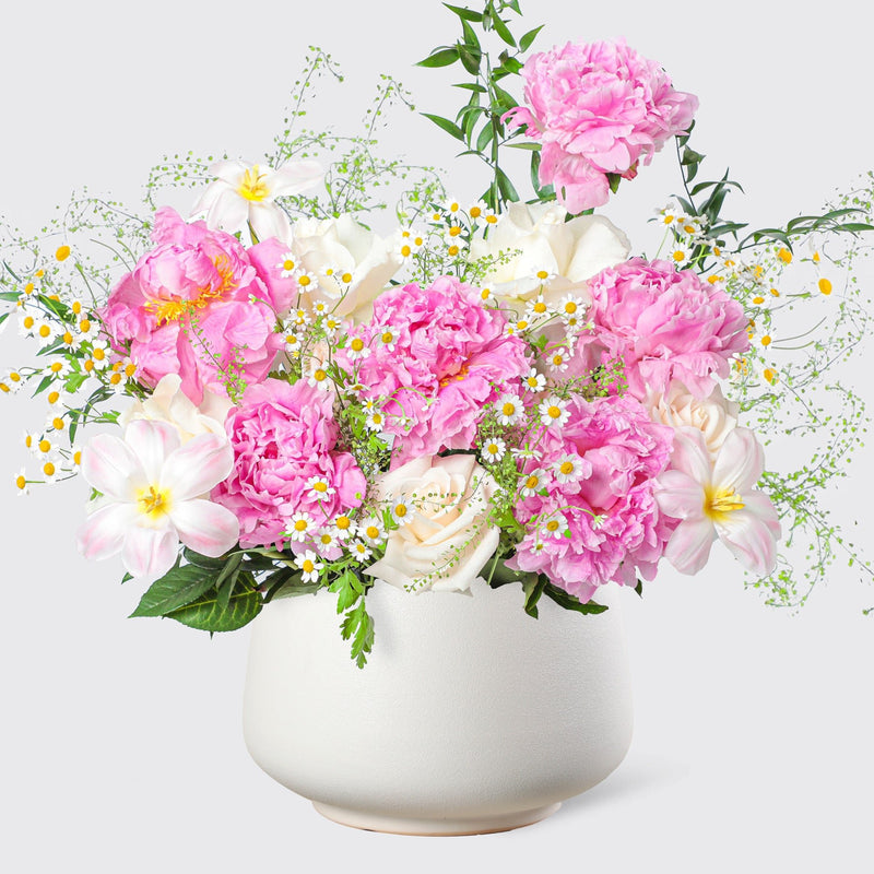 Spring Radiance Peonies in Vase - BLACK AND BLANC