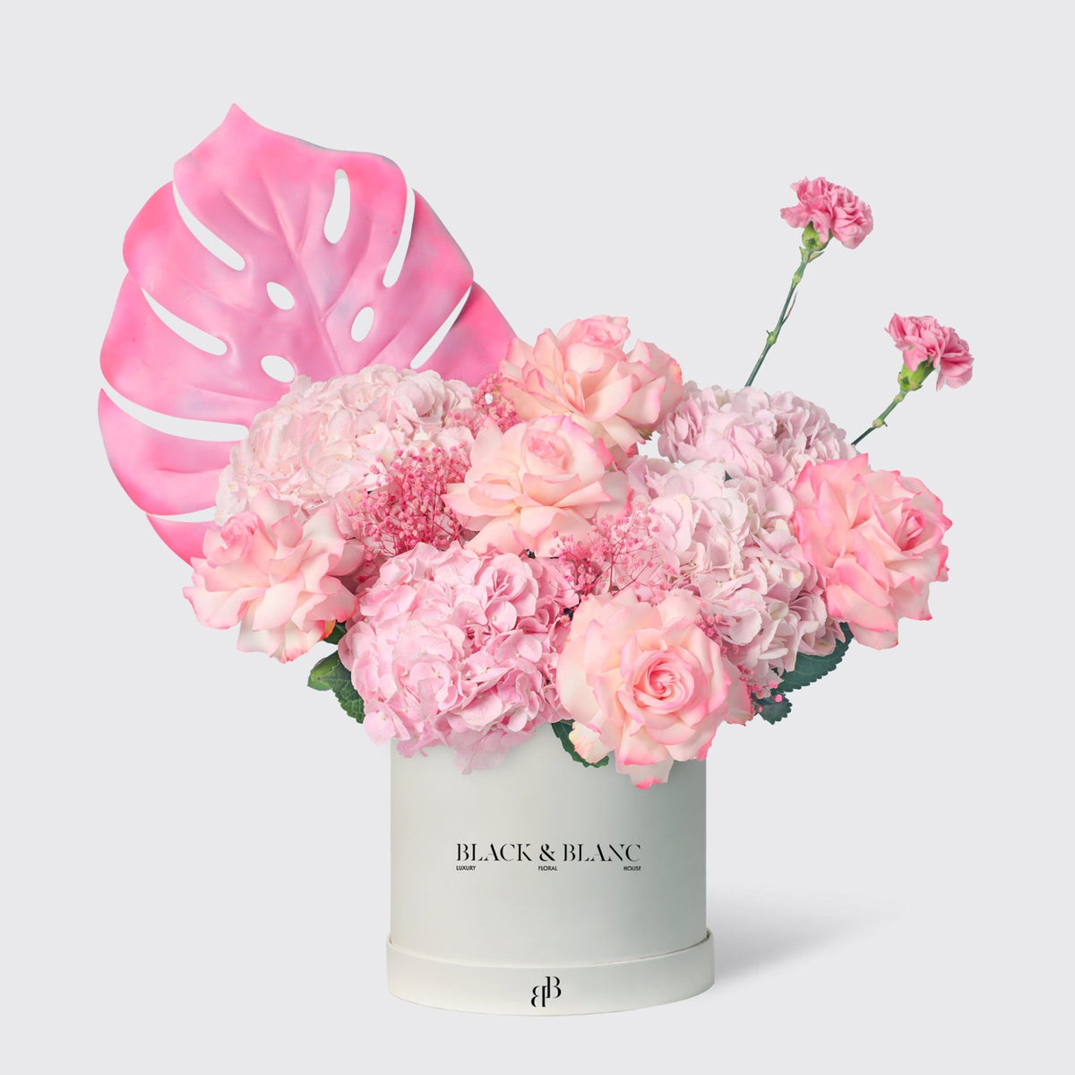 Spring&