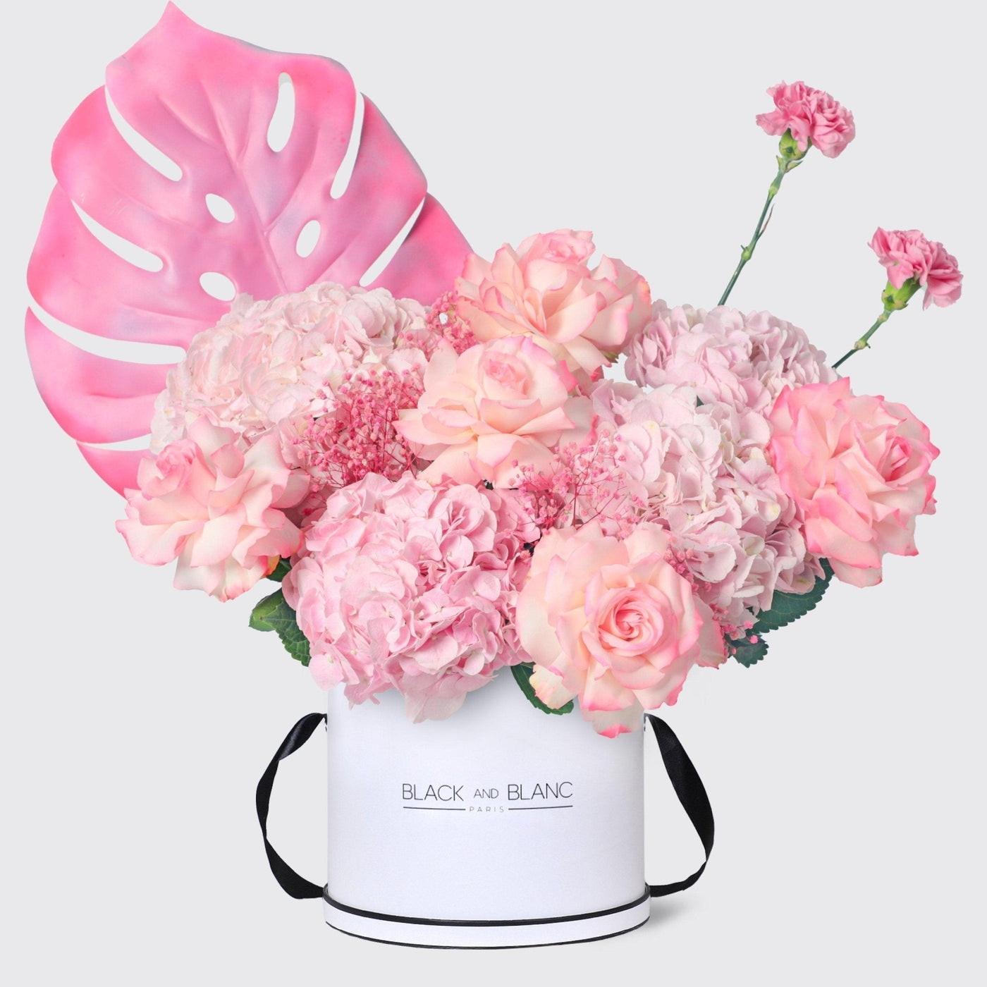 Spring's Whisper in Box - BLACK AND BLANC