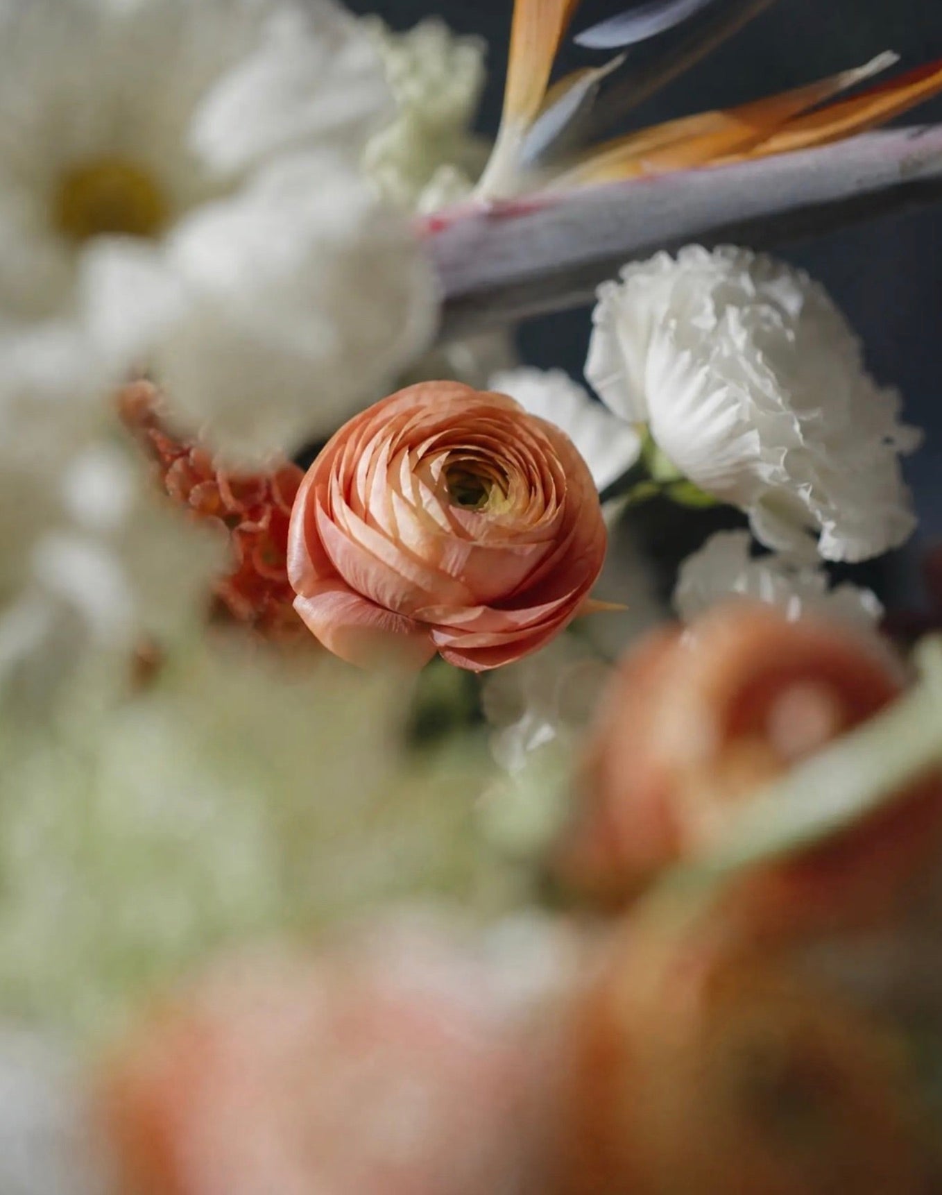 A woman in cream carries a Black & Blanc box of bird of paradise and coral ranunculus through a colonnade