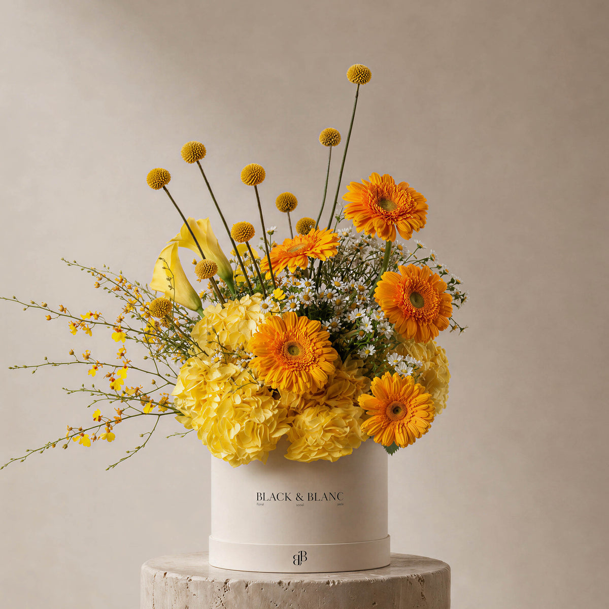 Yellow and gold arrangement of hydrangea, gerbera and craspedia in a Black & Blanc box