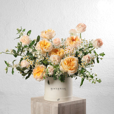 Sunlit Garden in Box