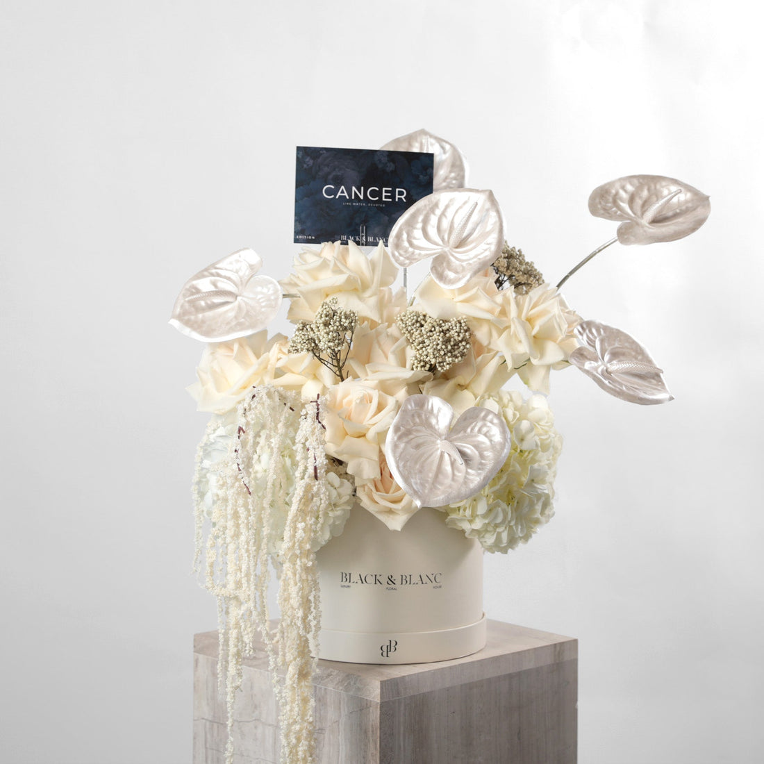 The Pearl in Box - BLACK AND BLANC