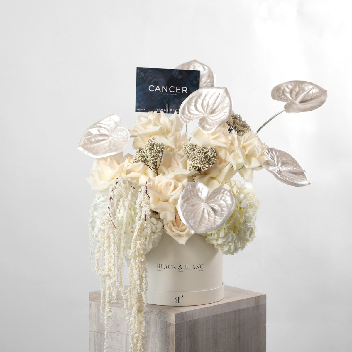 The Pearl in Box - BLACK AND BLANC