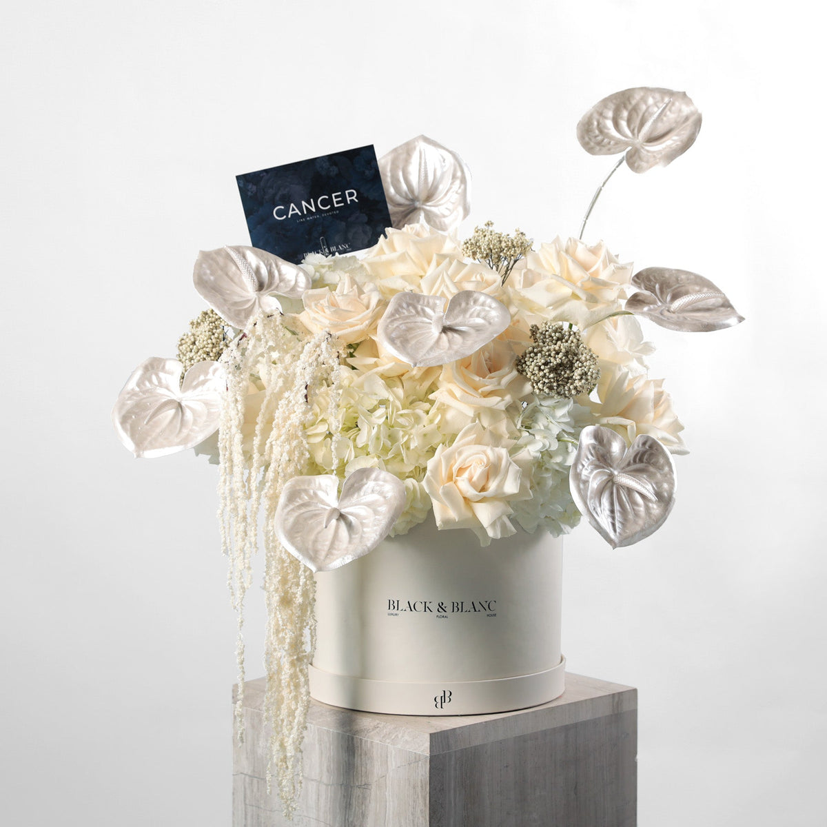 The Pearl in Box - BLACK AND BLANC
