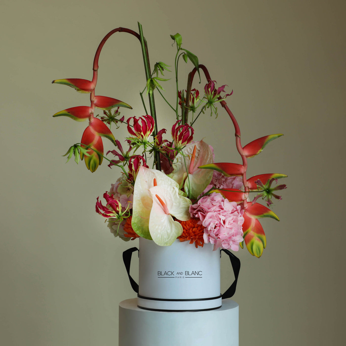 Tropic d’Automne - Le Grand / White