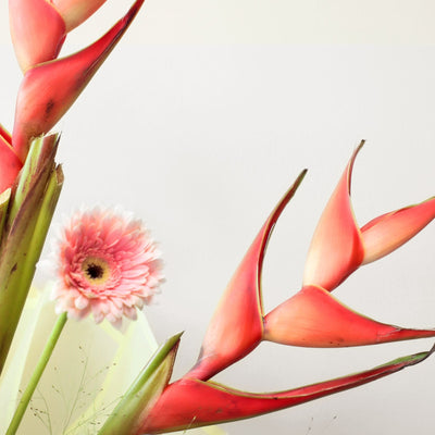 Tropical and Whisper Bouquet - BLACK AND BLANC