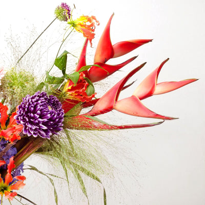 Tropical and Whisper in Vase - BLACK AND BLANC