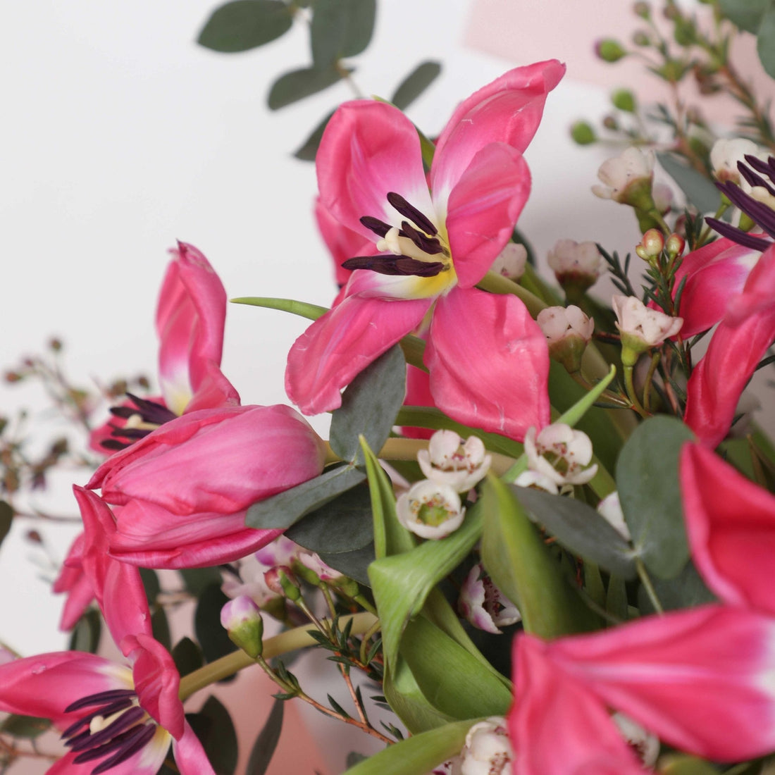 Tulipe de Rose Bouquet - BLACK AND BLANC