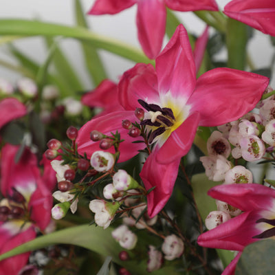 Tulipe de Rose in Box - Fresh Flowers - Box