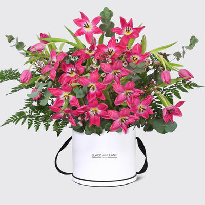 Tulipe de Rose in Box - BLACK AND BLANC