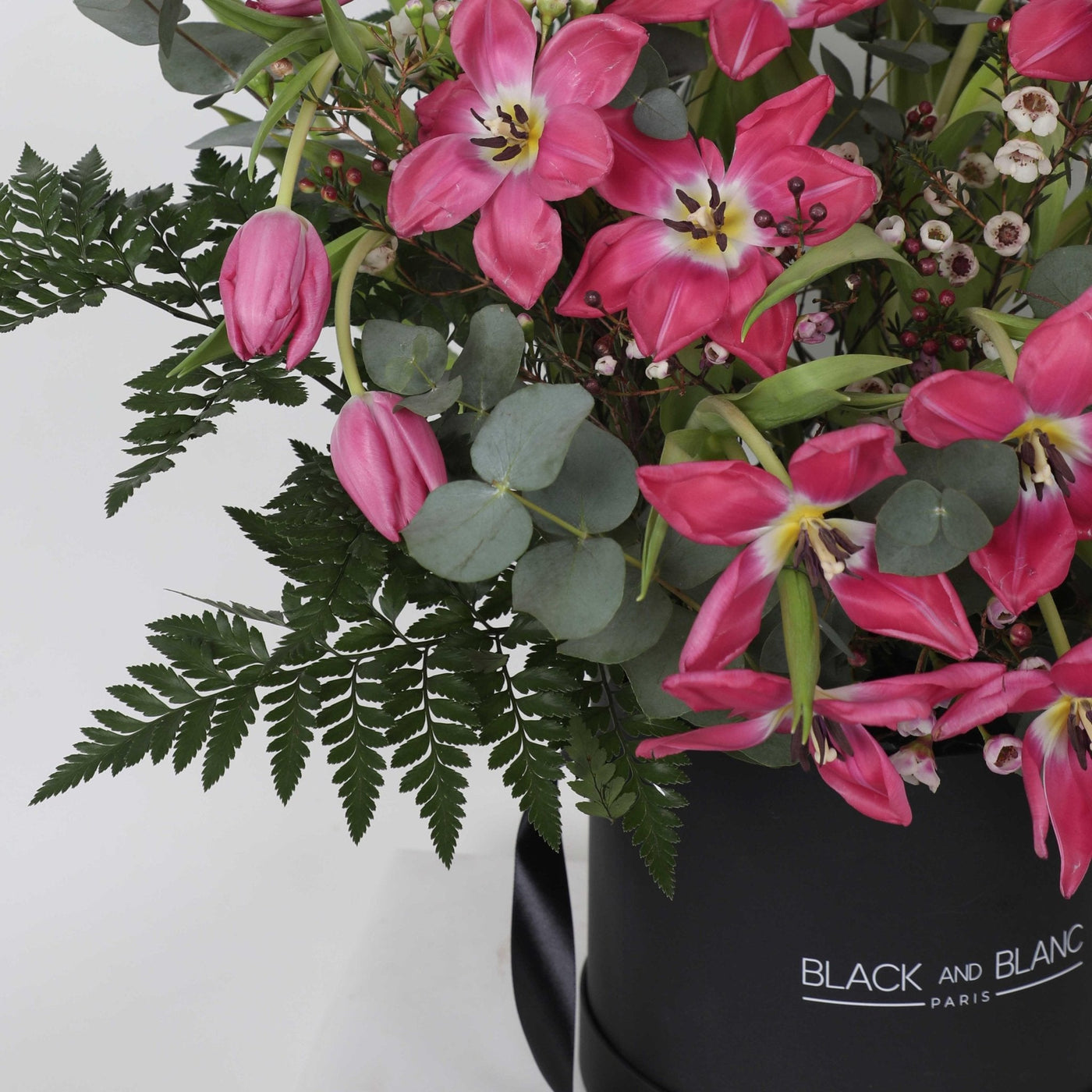 Tulipe de Rose in Box - BLACK AND BLANC