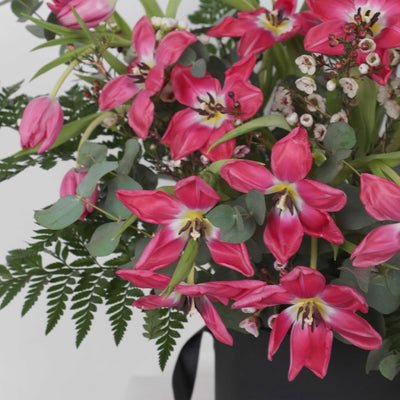 Tulipe de Rose in Box - BLACK AND BLANC