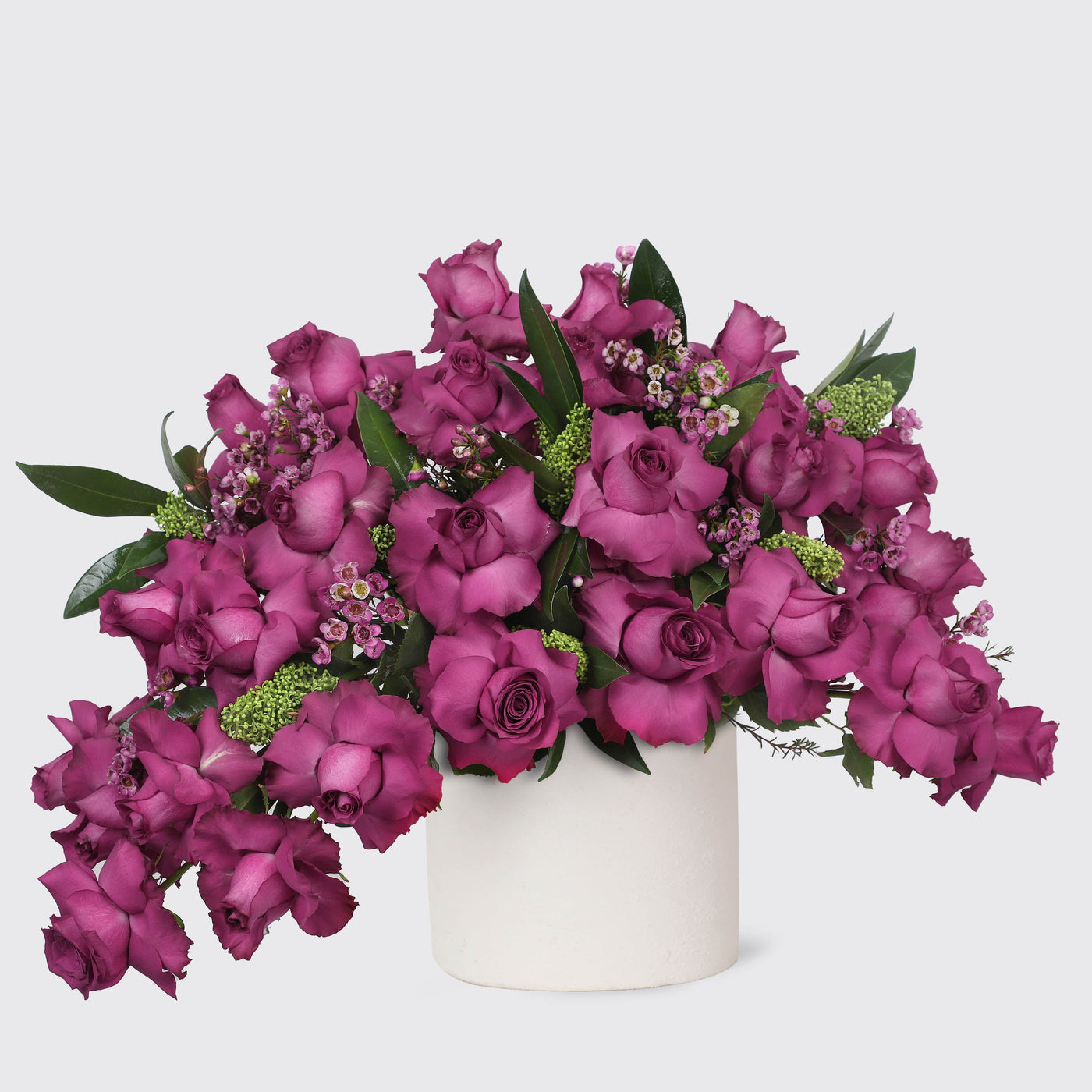 Velvet Plum Pegasus in Vase - Fresh Flowers - Vase