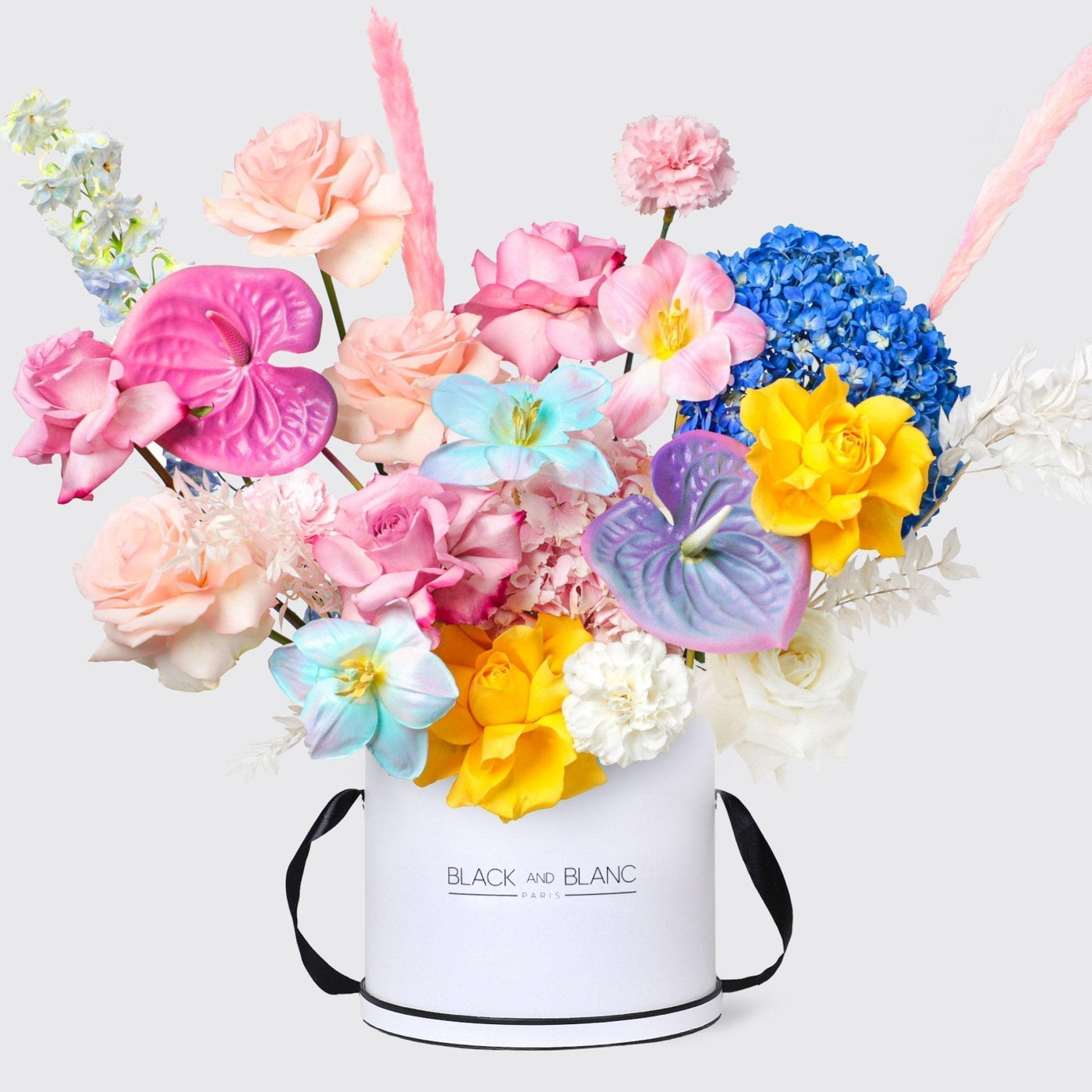 Vibrant Delice in Box - BLACK AND BLANC