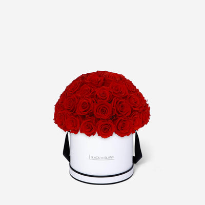 Vibrant Red Dôme Classic - Infinity Roses - BLACK AND BLANC