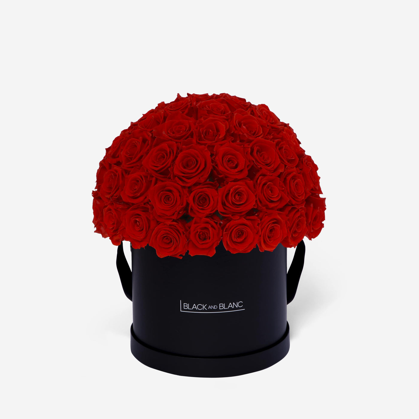 Vibrant Red Dôme Classic - Infinity Roses - BLACK AND BLANC