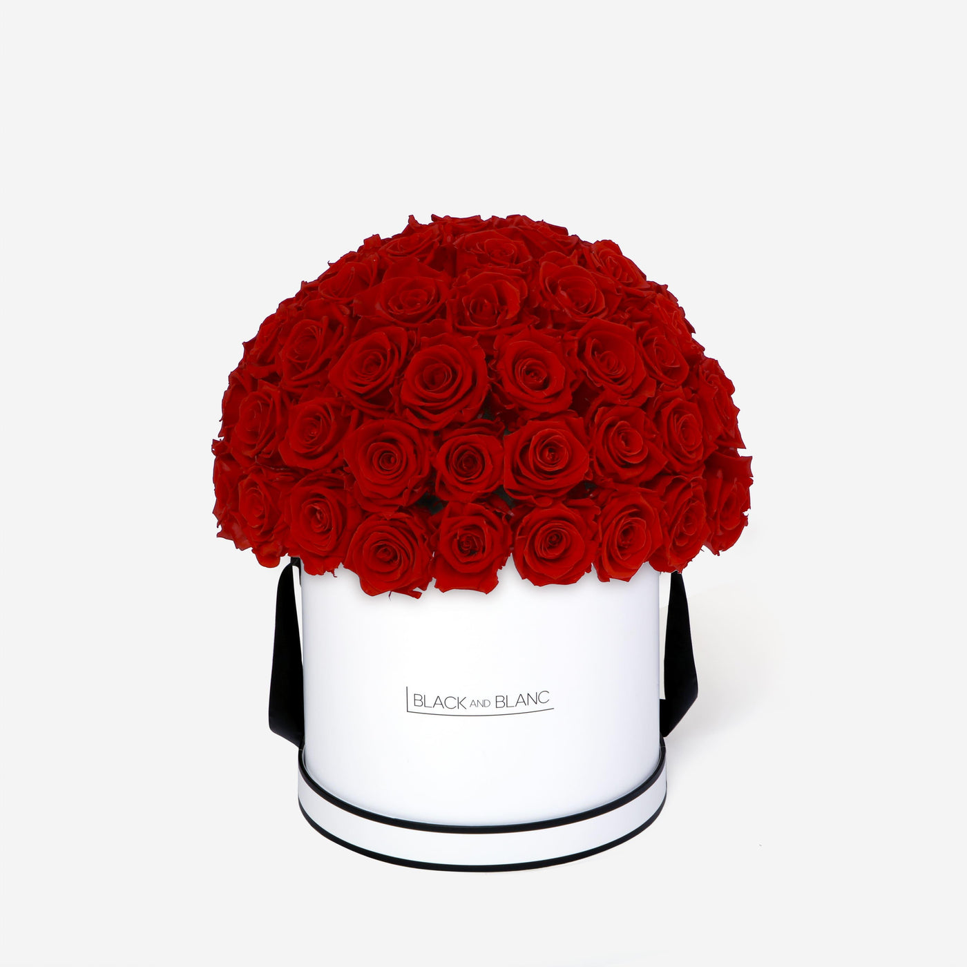 Vibrant Red Dôme Classic - Infinity Roses - BLACK AND BLANC